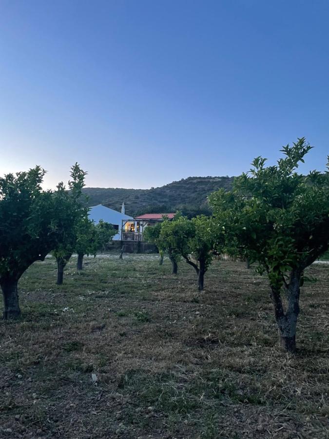 Quinta Da Boa Sorte Estoi Eksteriør bilde