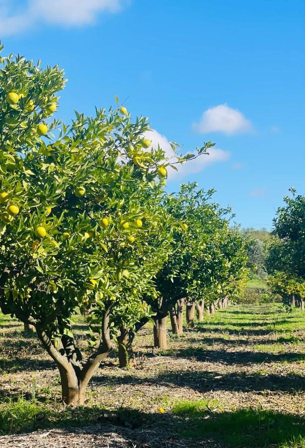 Quinta Da Boa Sorte Estoi Eksteriør bilde
